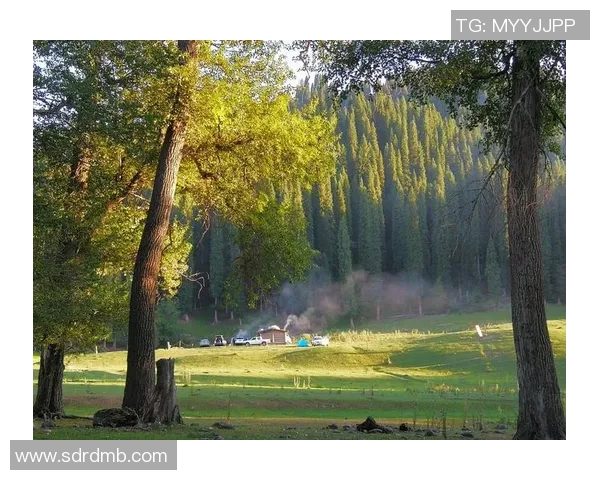 高清足球明星电脑壁纸尽享视觉盛宴尽在这里快来下载你的最爱吧