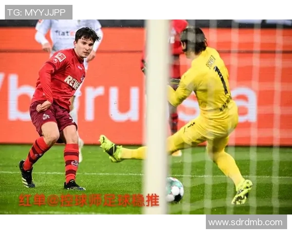 2019年汉堡对桑德豪精彩对决回顾与分析