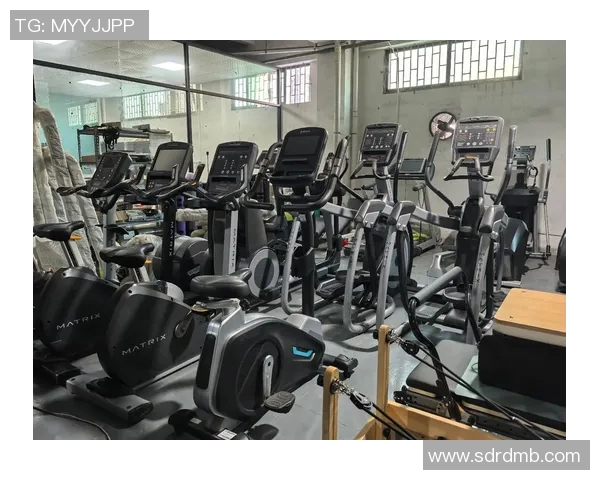 全面提升身体素质的组合健身器材选择与使用指南