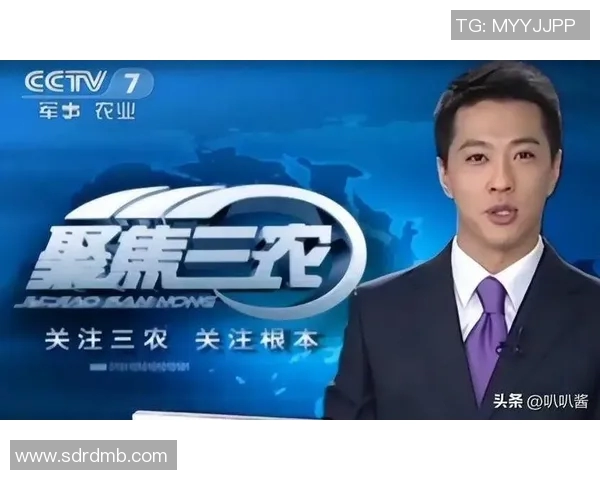 篮球明星腿截肢背后的故事与勇气展现人生的坚韧与希望